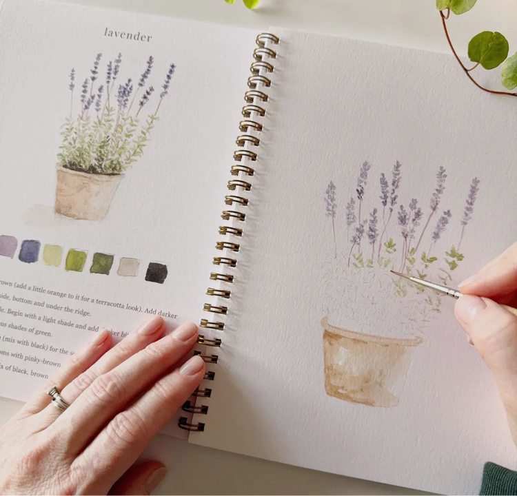 Workbooks & Coloring Books