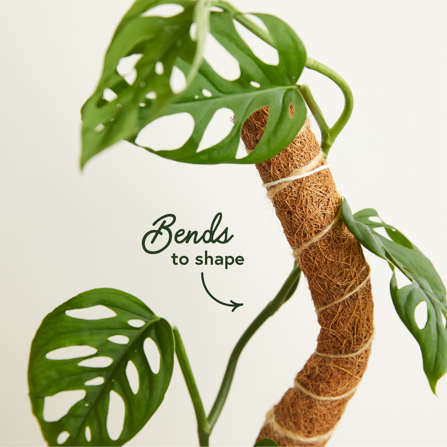 Coco Climber | Bendable Grow Pole