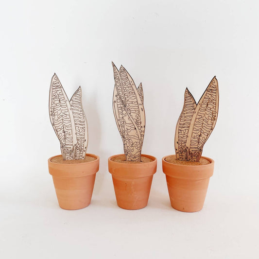 Paint Your Own Snake Plant