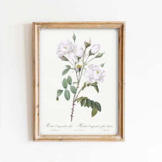 Paper House 5x7 Art Prints