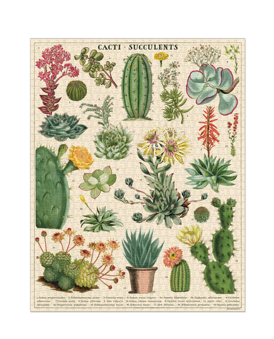 Puzzle - Cacti & Succulents