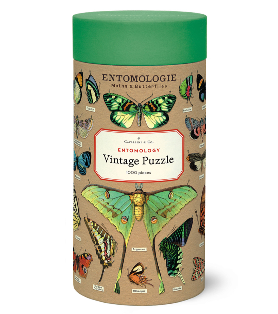 Puzzle - Entomology