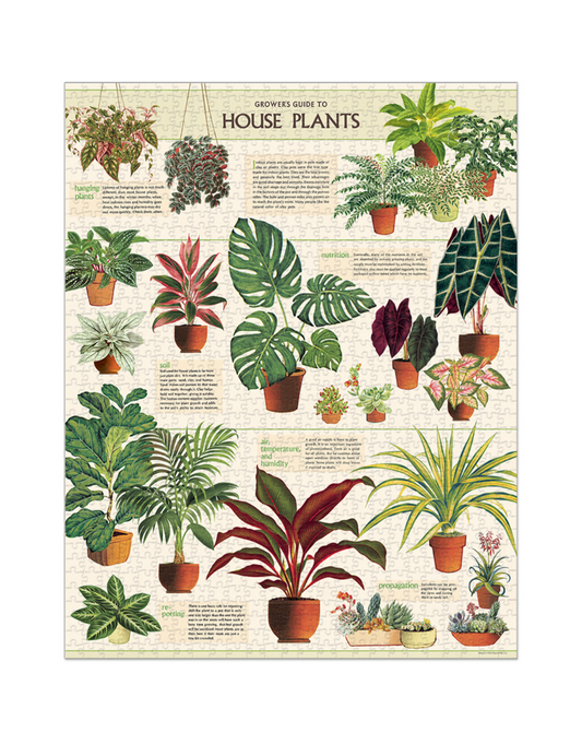 Puzzle - House Plants