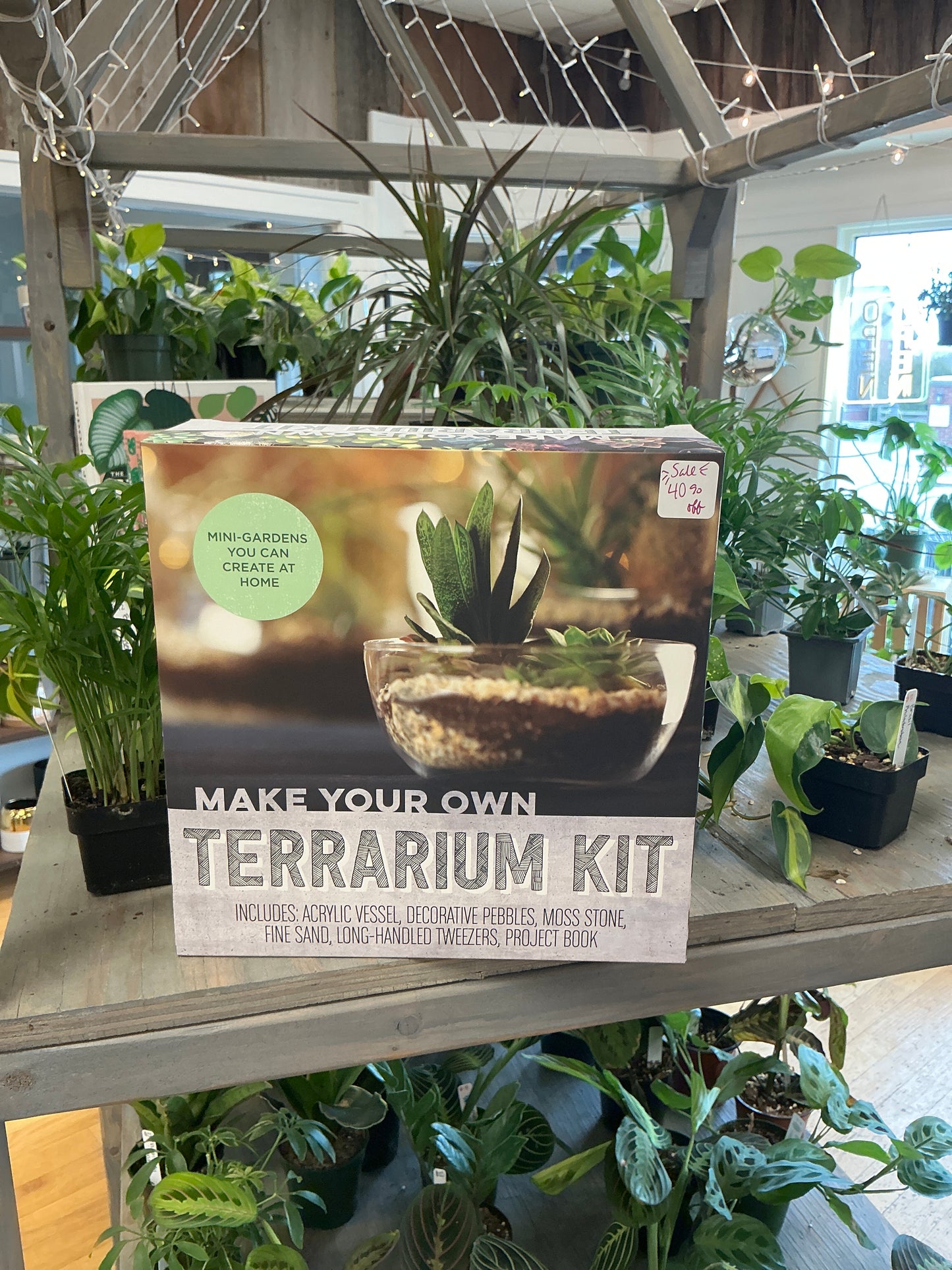 Terrarium kit