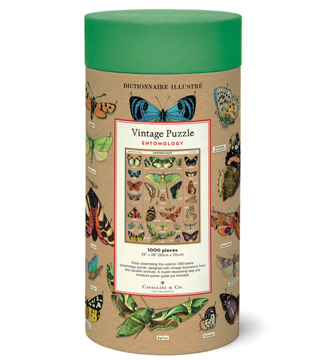 Puzzle - Entomology