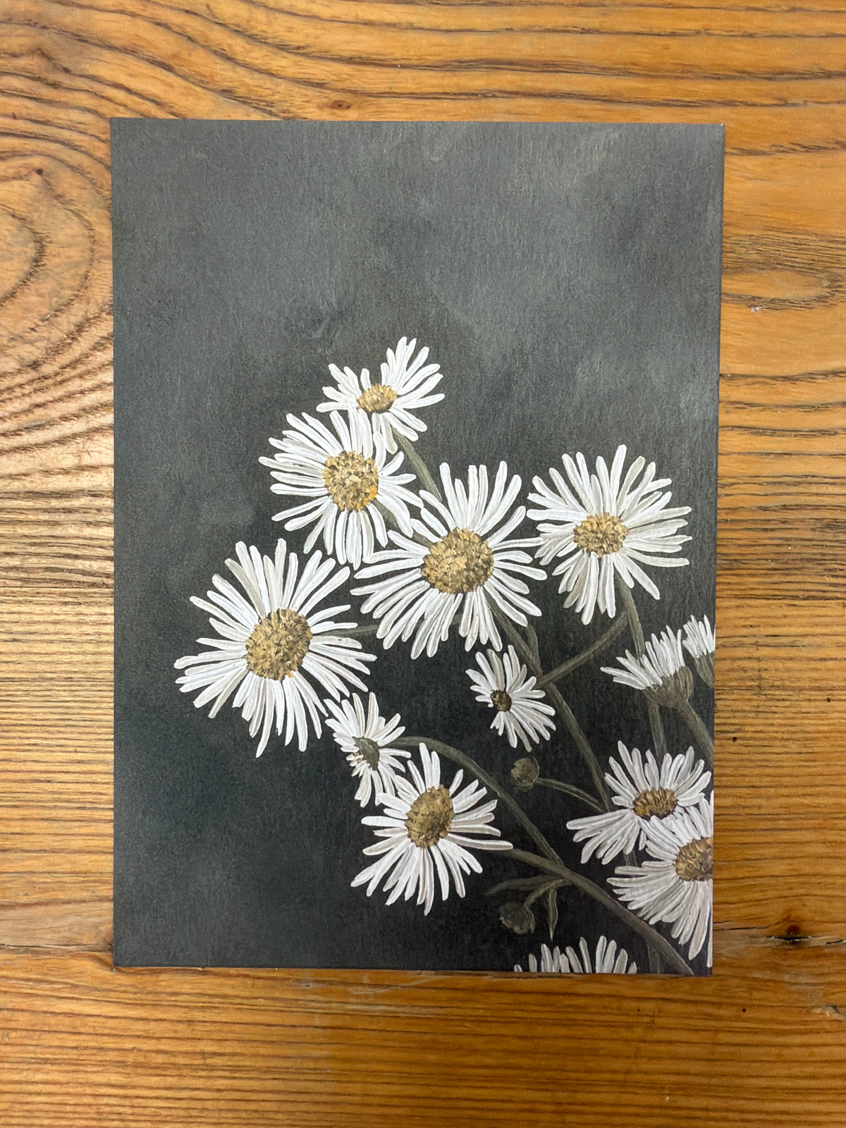 White Asters