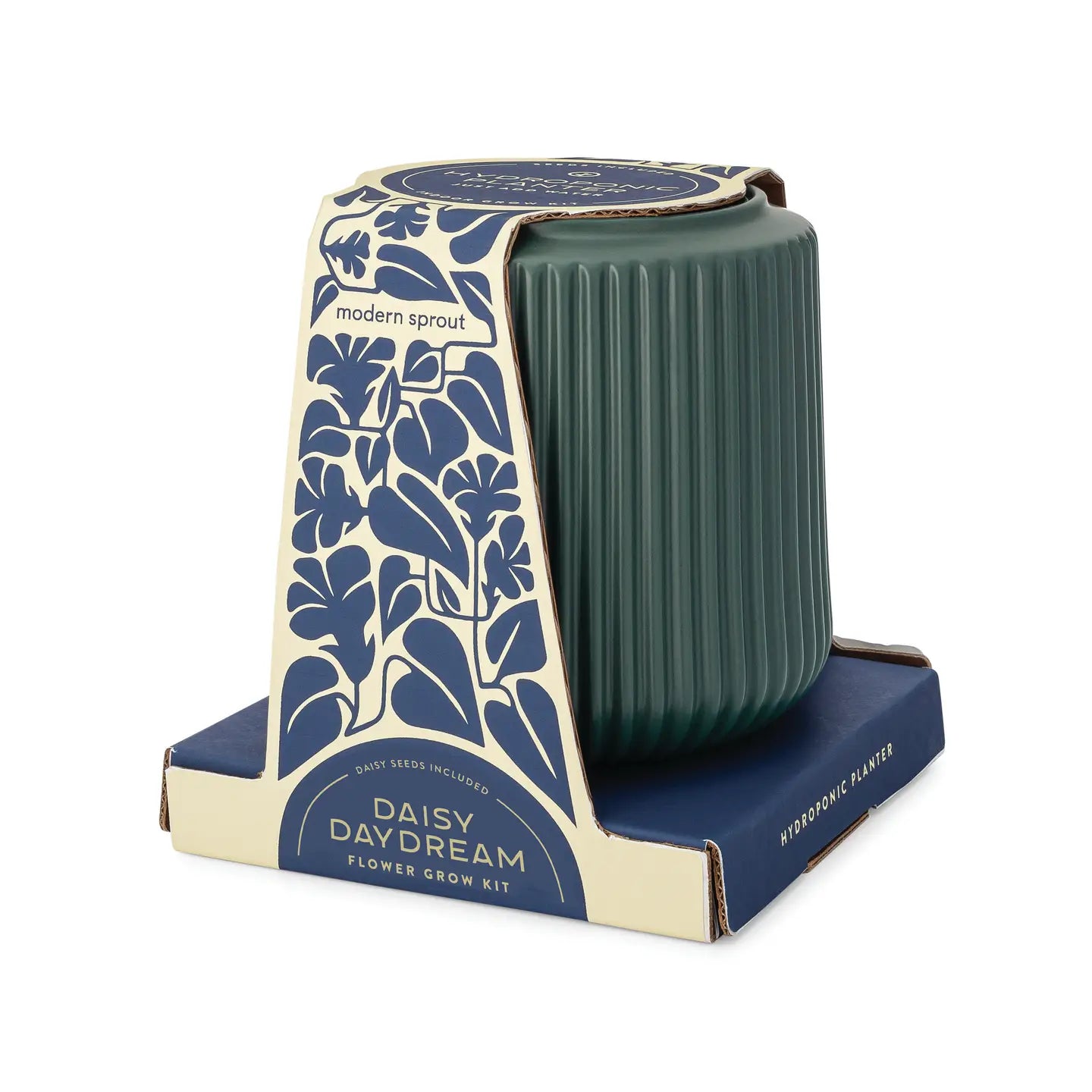 Flower Grow Kit - Daisy Daydream