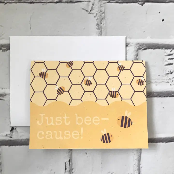 Everyday & Friendship Cards