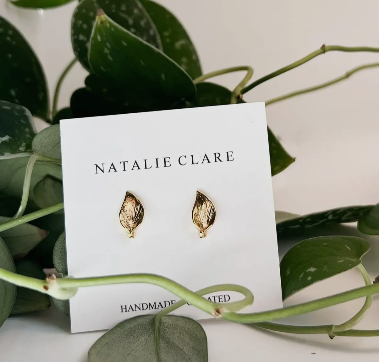 Pothos Studs