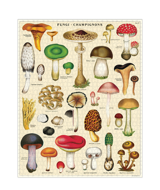 Puzzle - Mushrooms
