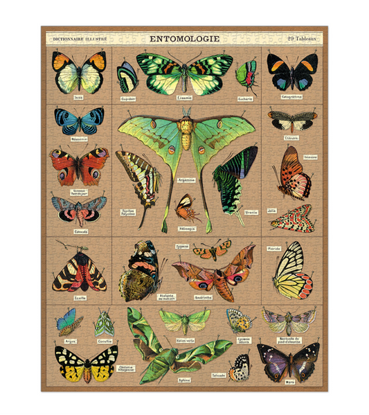 Puzzle - Entomology