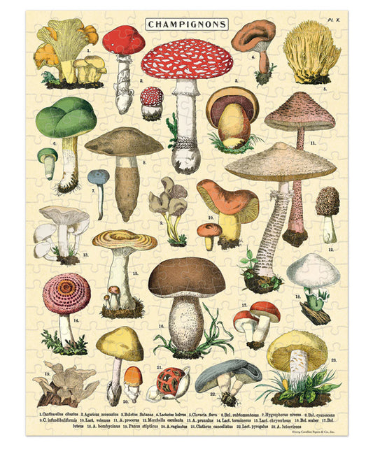 Mini Puzzle - Mushrooms