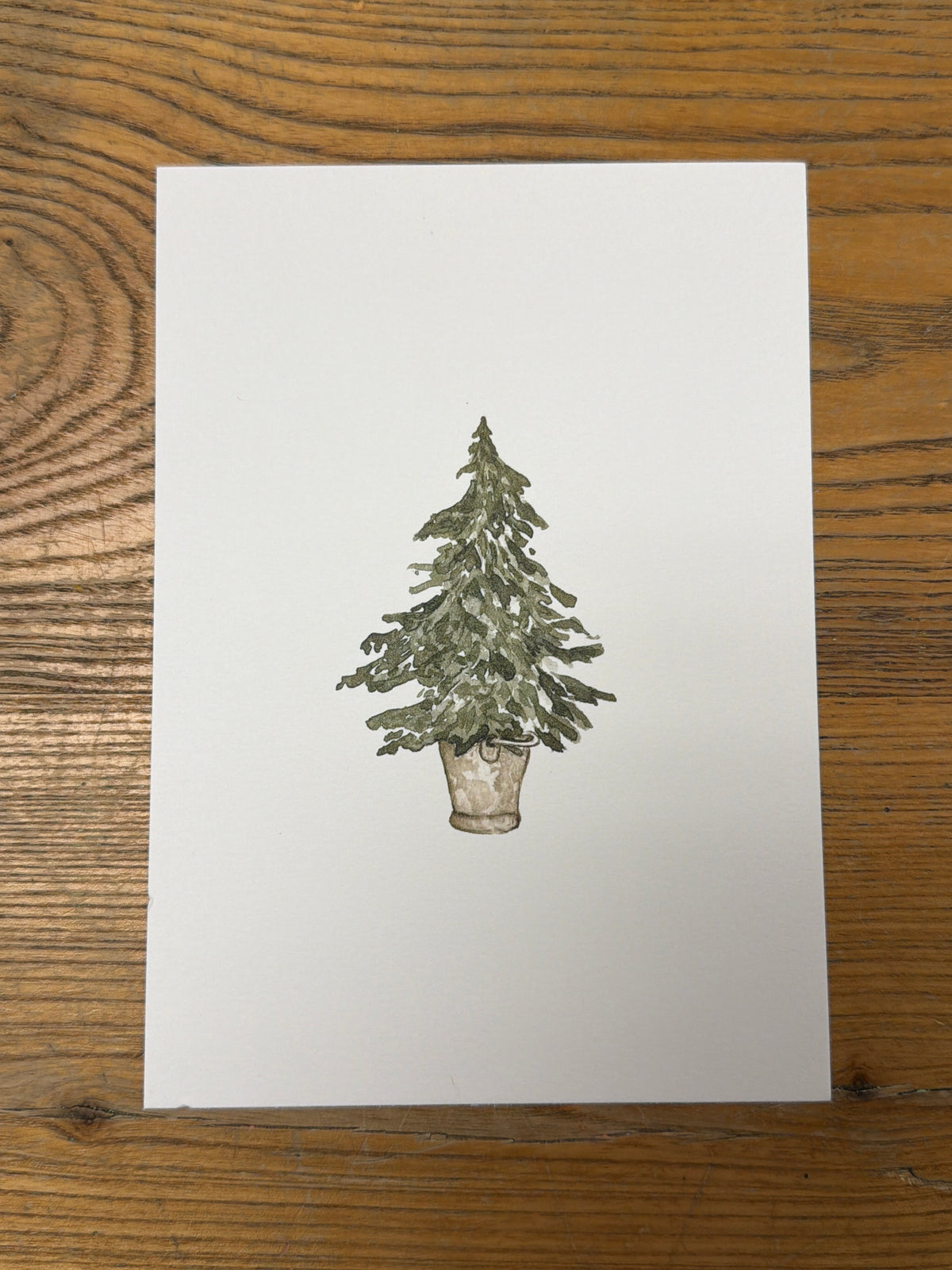 Potted Christmas Tree