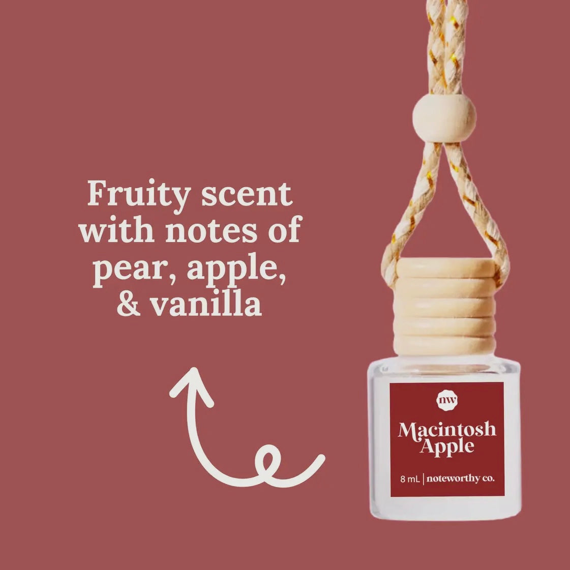 Fall 🍂 Car Diffuser