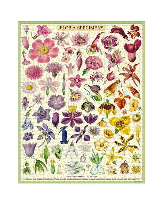 Puzzle - Flora Specimens