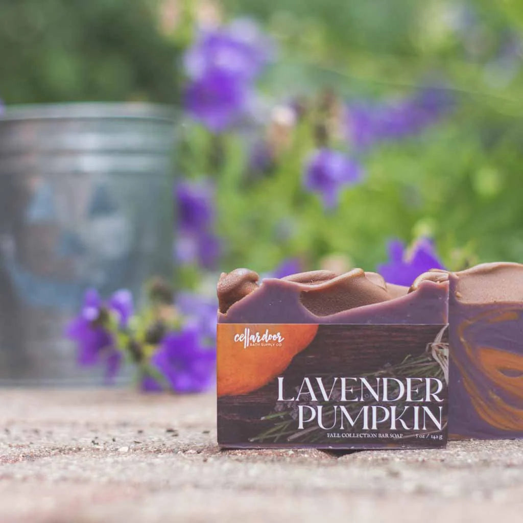Lavender Pumpkin Bar Soap