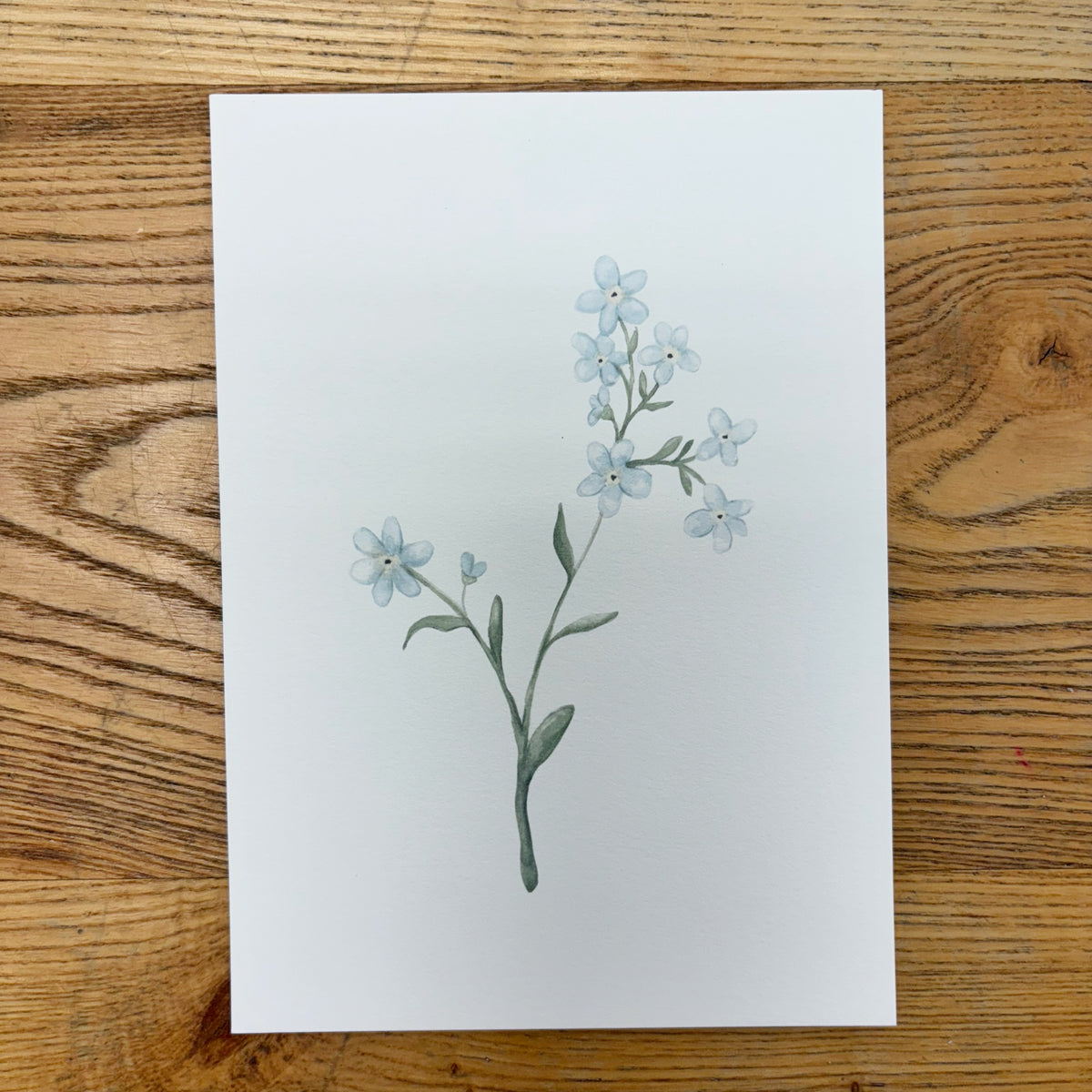 Forget Me Not