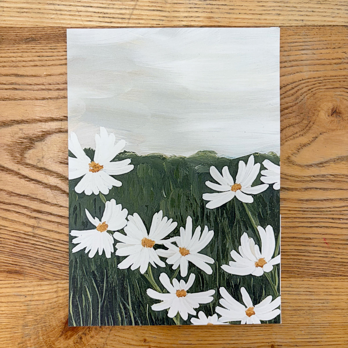 Field of Daisies