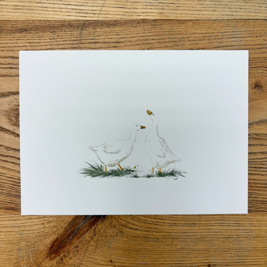 Abbie Marie Studios Art Prints | 5 x 7 inch