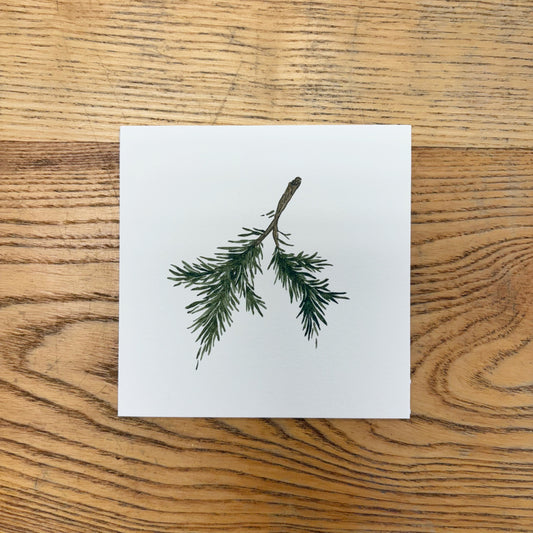 Abbie Marie Studios 4x4 Art Prints