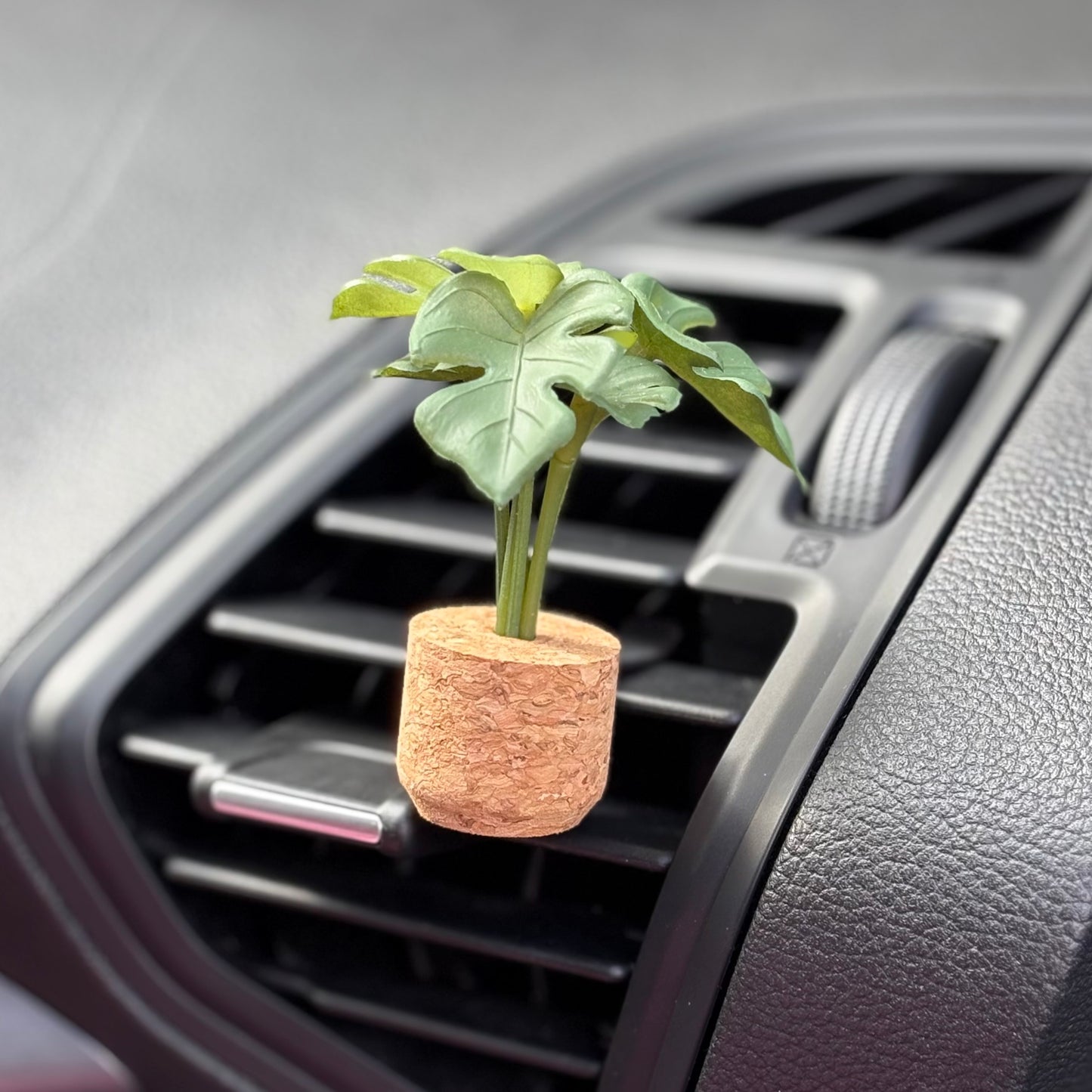 Plant Car Diffuser - Monstera