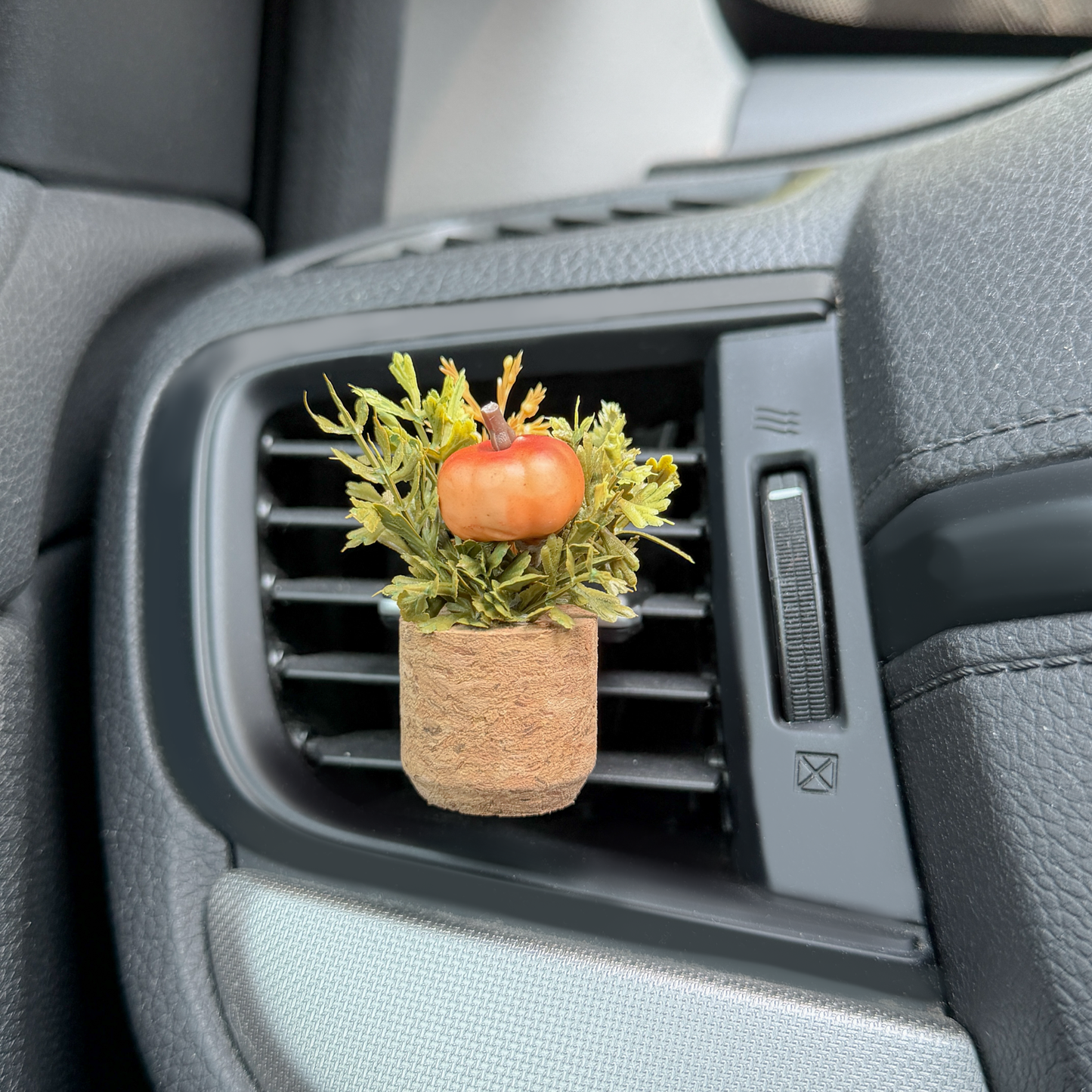 Pumpkin Patch | Plant Car Diffuser