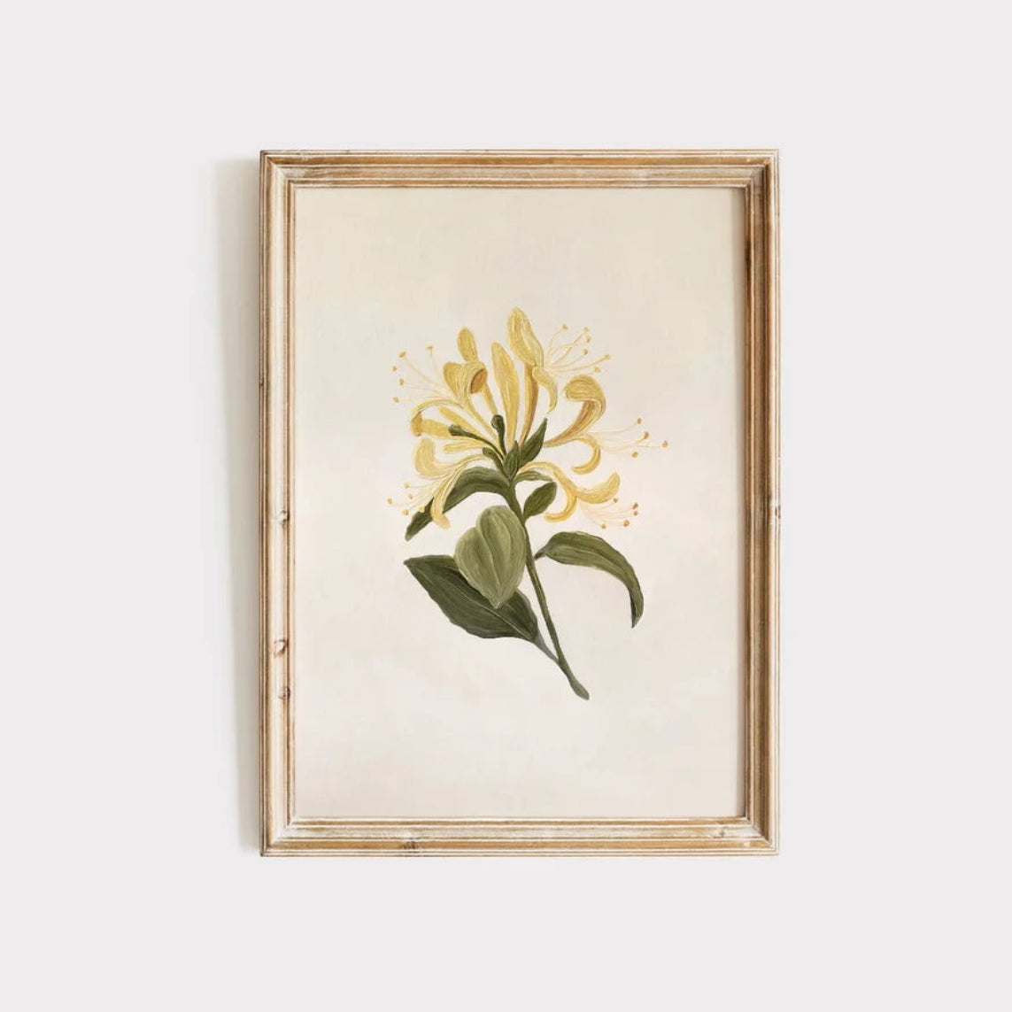 Art Print | Honeysuckle