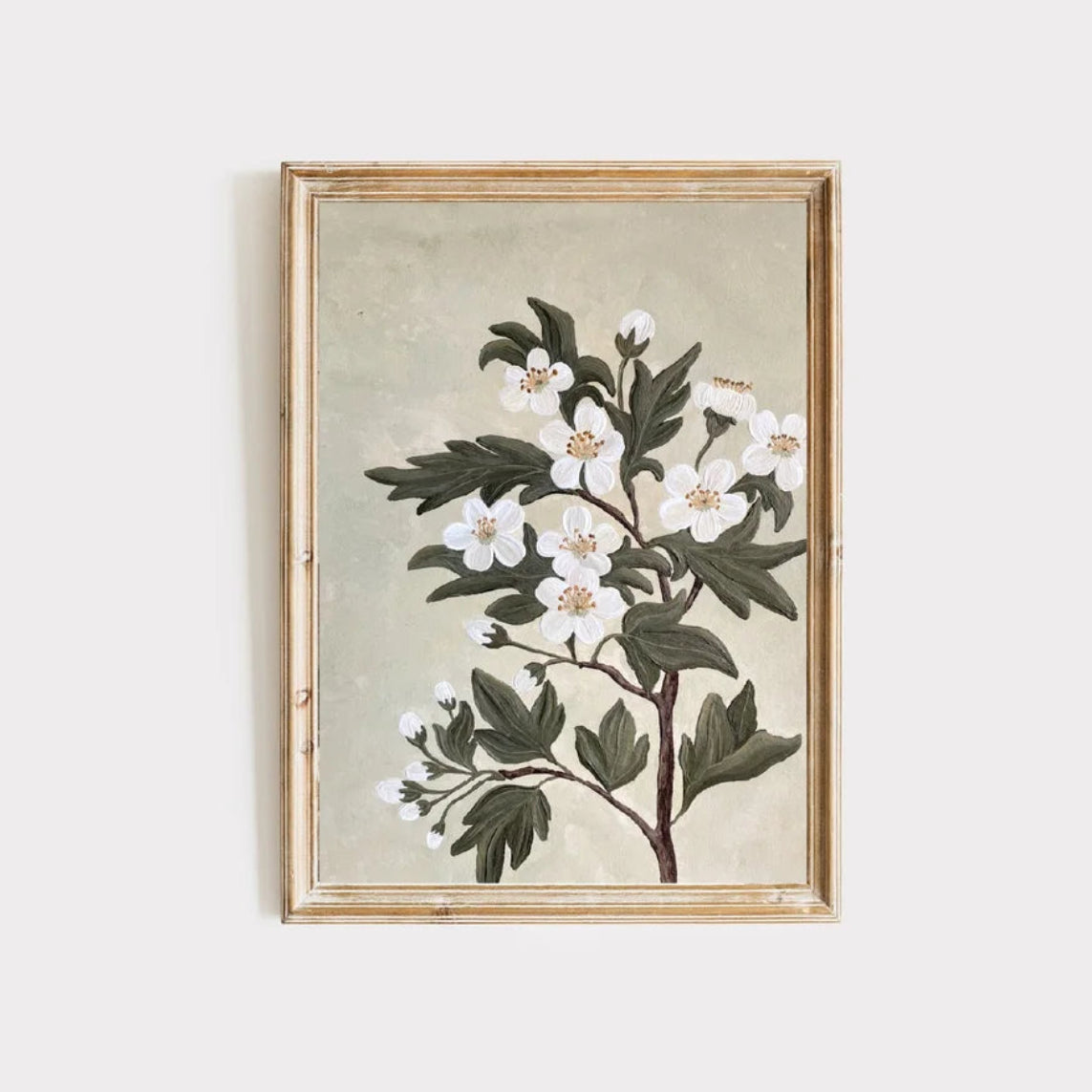 Art Print | Hawthorn
