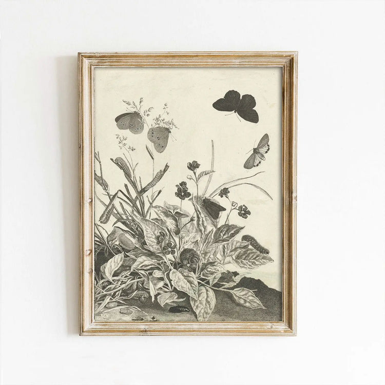 Art Prints & Framed Artwork