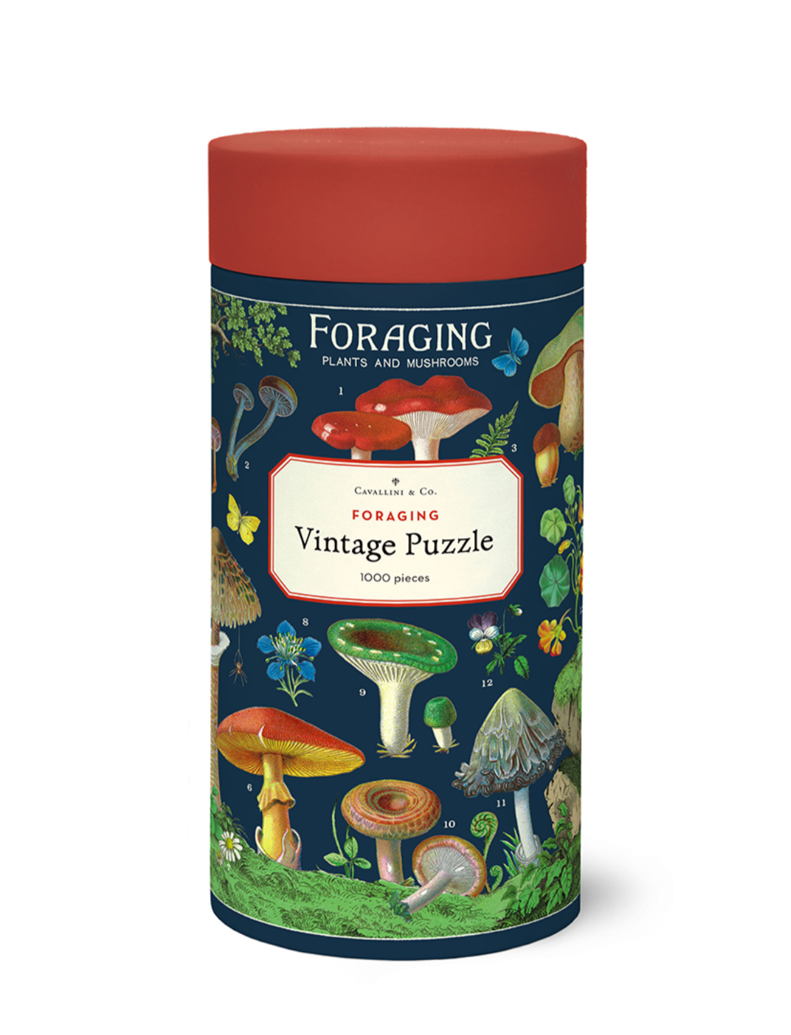 Puzzle - Foraging