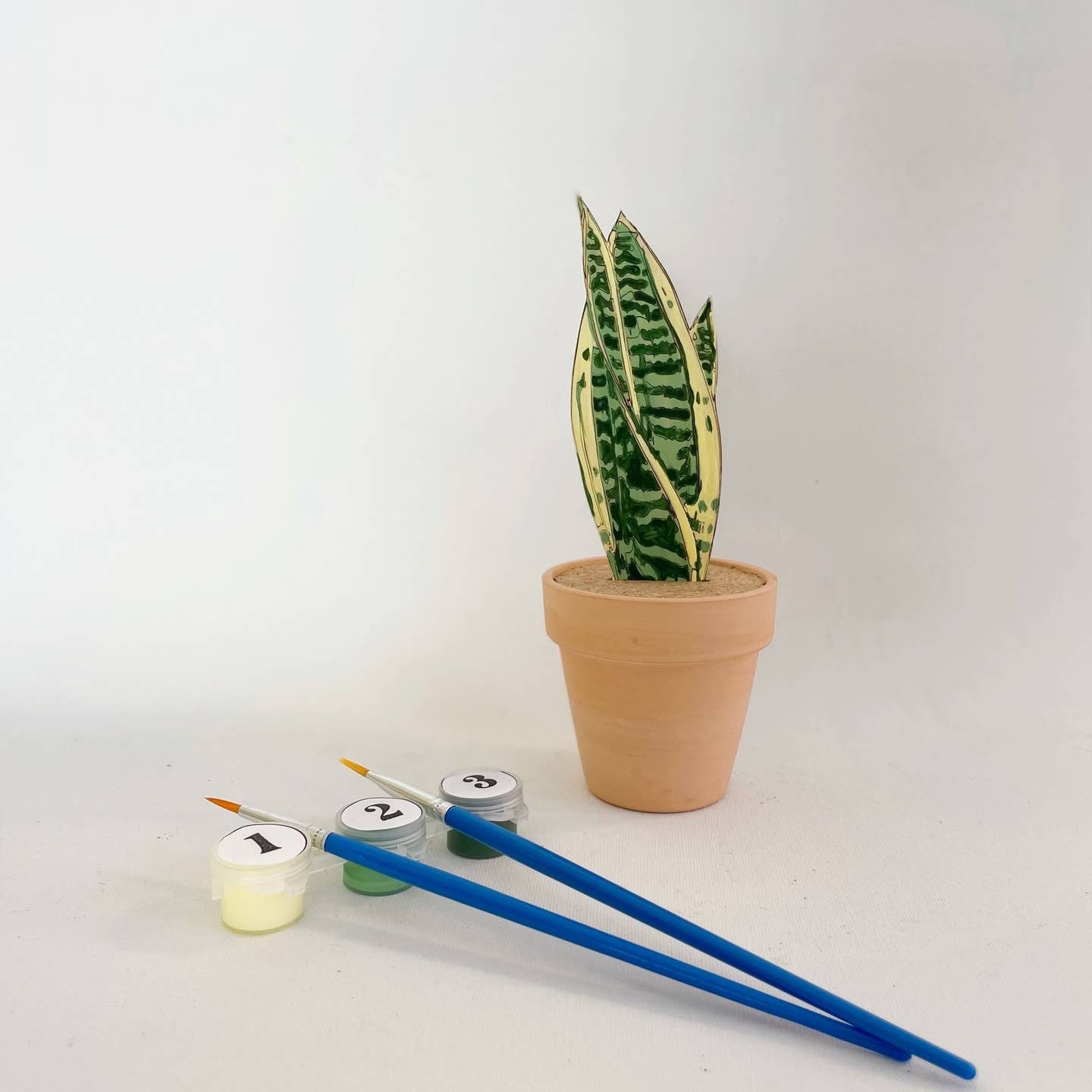 Paint Your Own Snake Plant