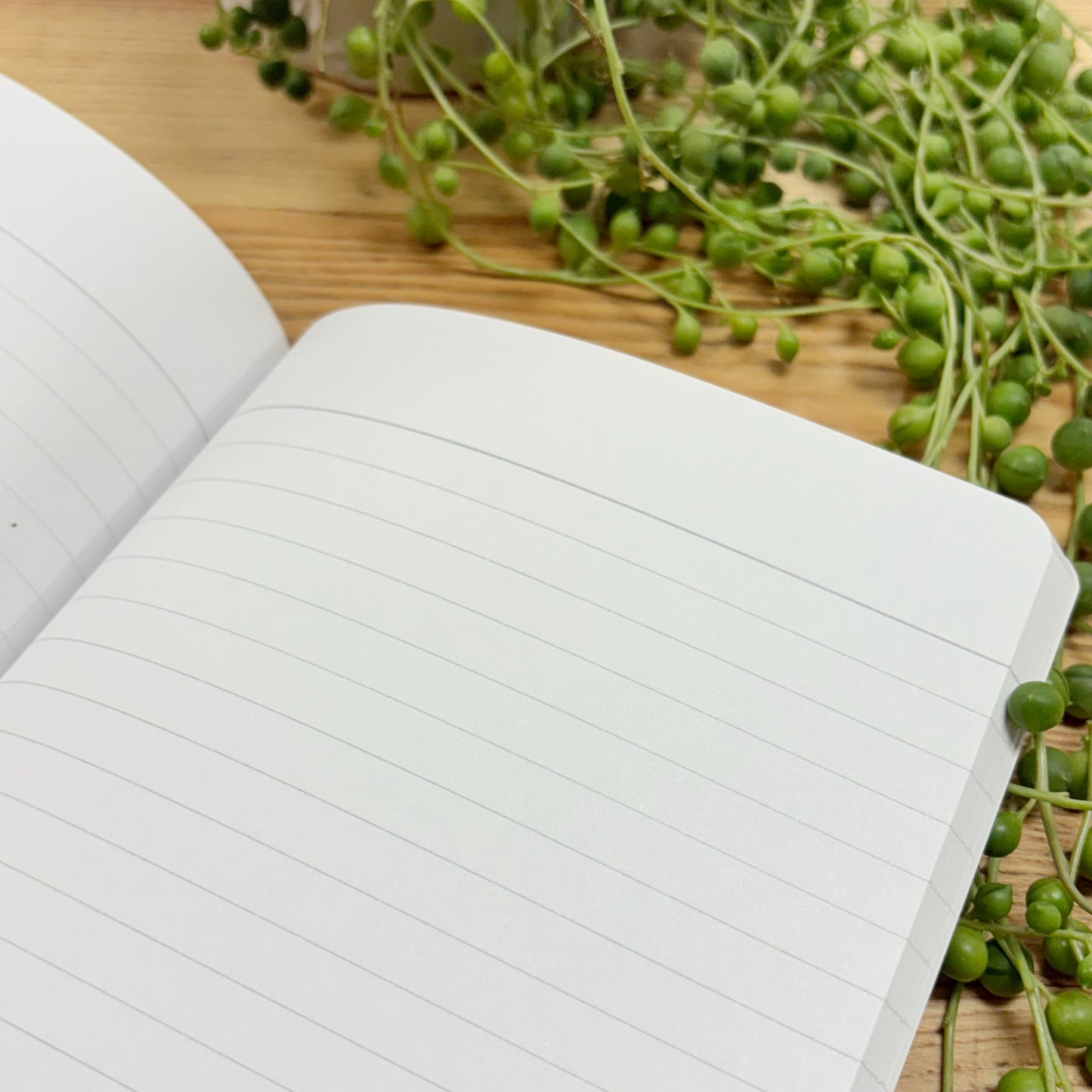 Abbie Marie Notebook