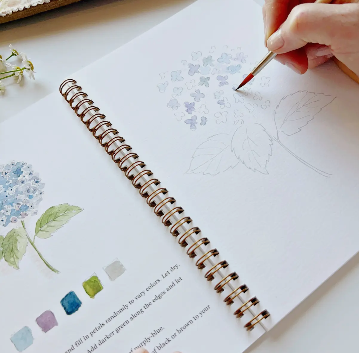 Watercolor Workbook - Flowers