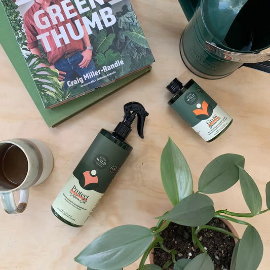Spray - Neem Oil