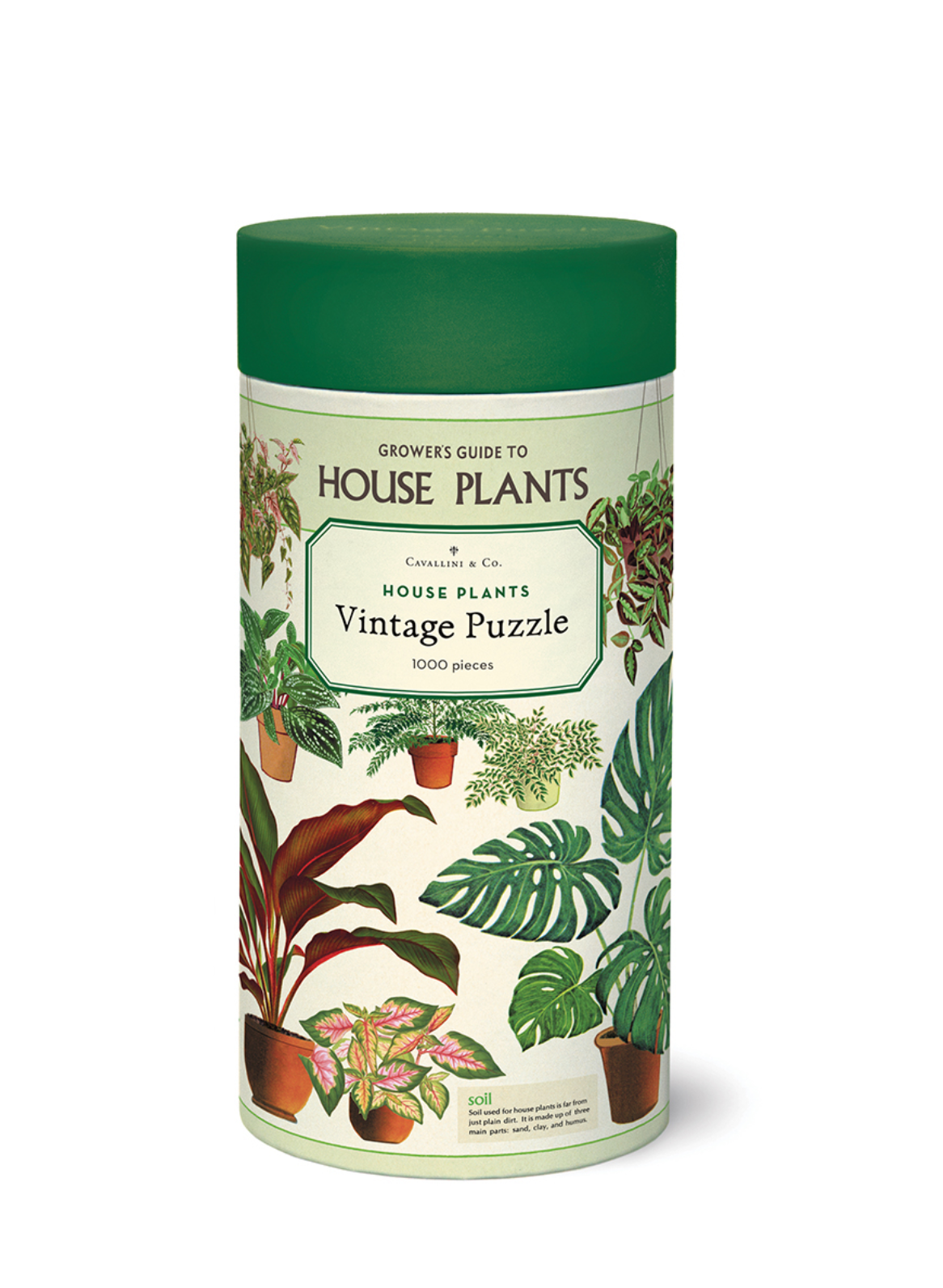 Puzzle - House Plants