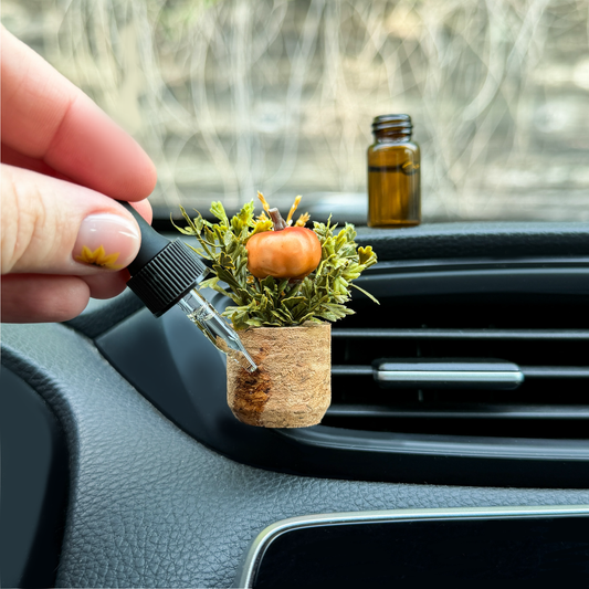 Pumpkin Patch | Plant Car Diffuser