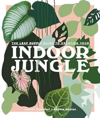 Indoor Jungle