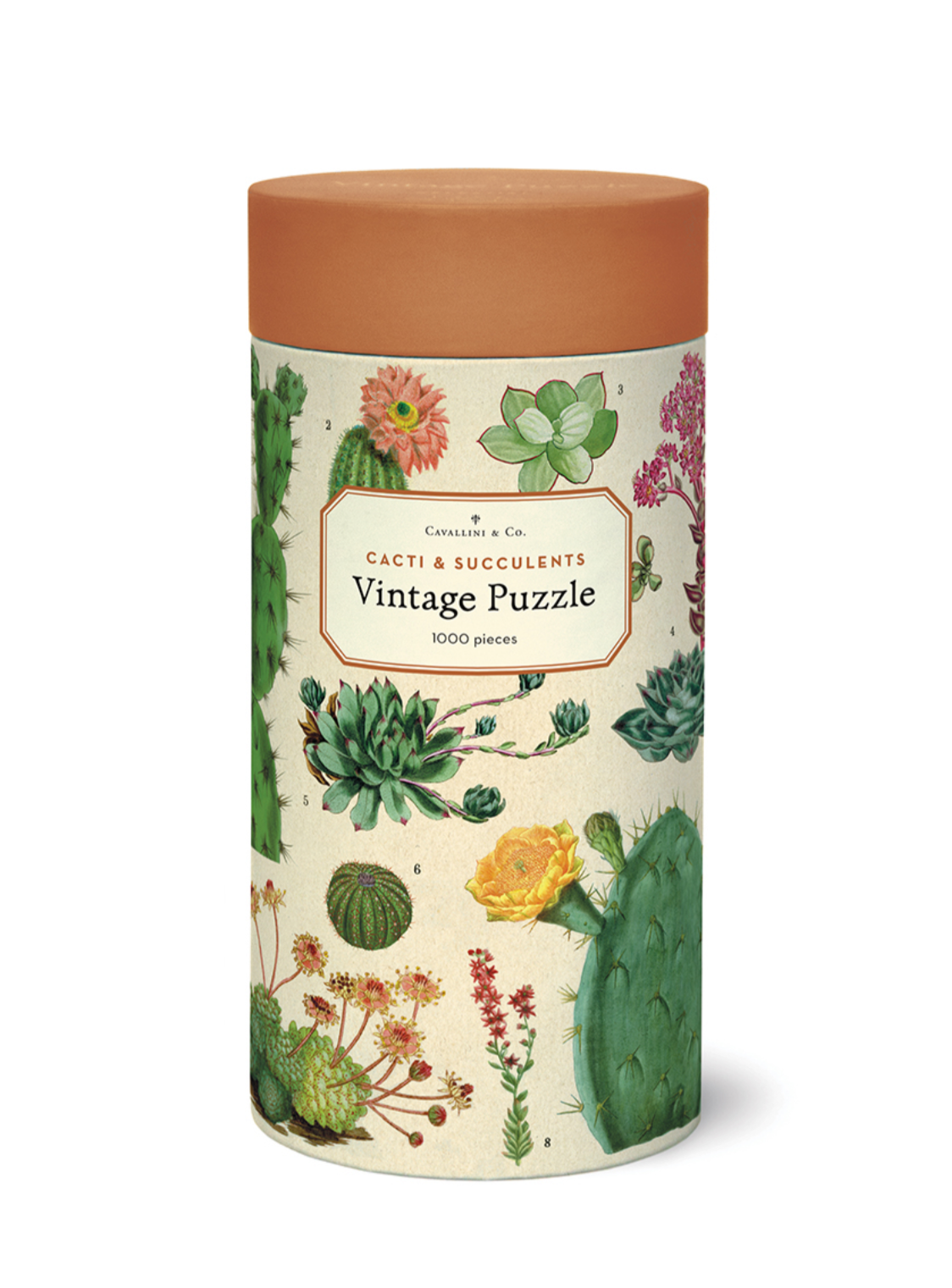 Puzzle - Cacti & Succulents