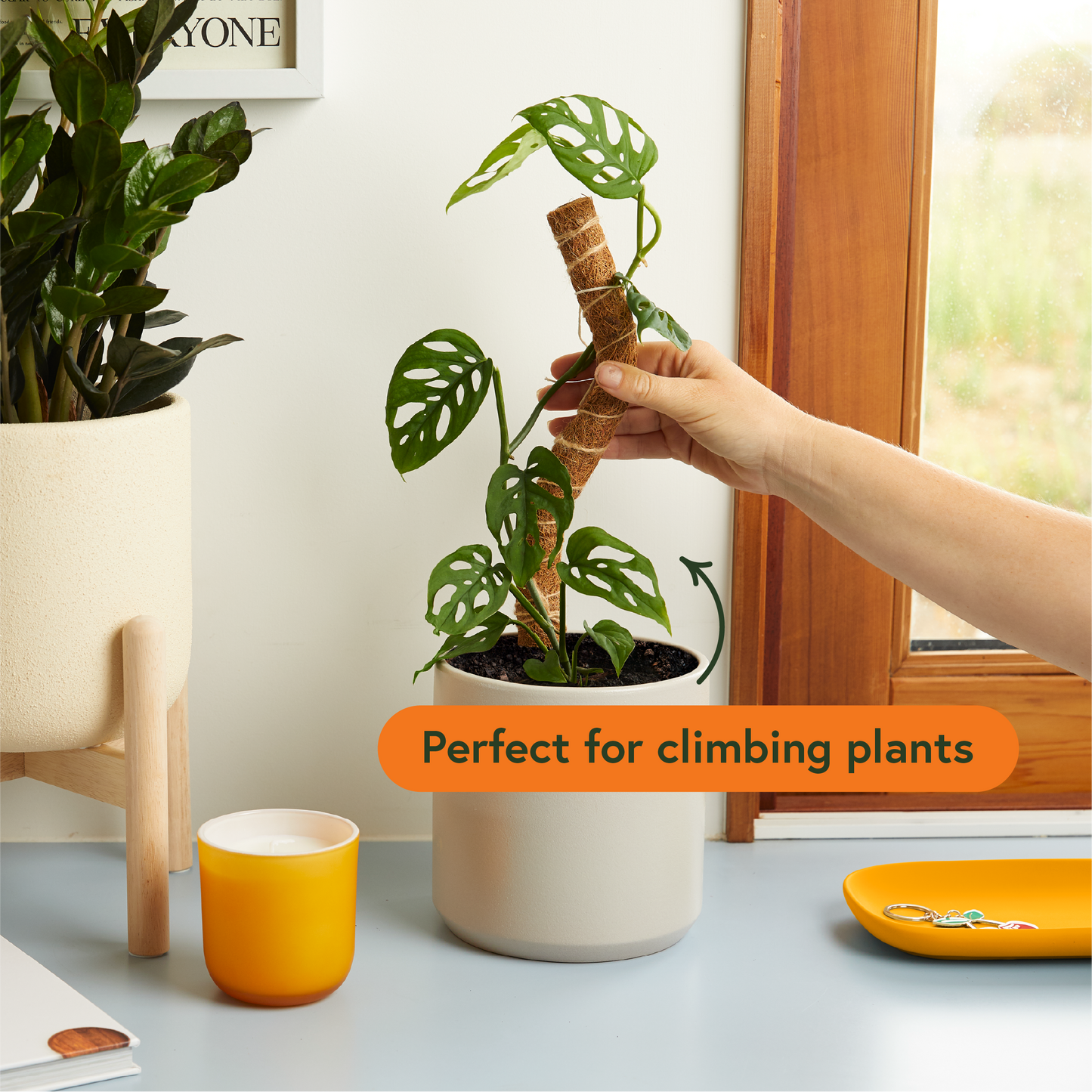 Coco Climber | Bendable Grow Pole
