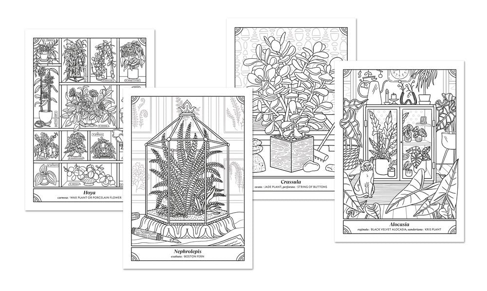 house plant coloring pages The Happy Houseplant Coloring Book