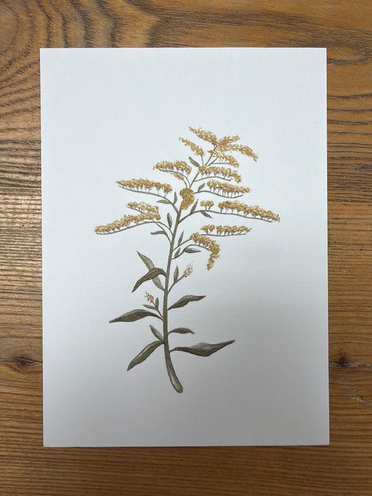 Goldenrod