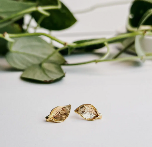 Pothos Studs