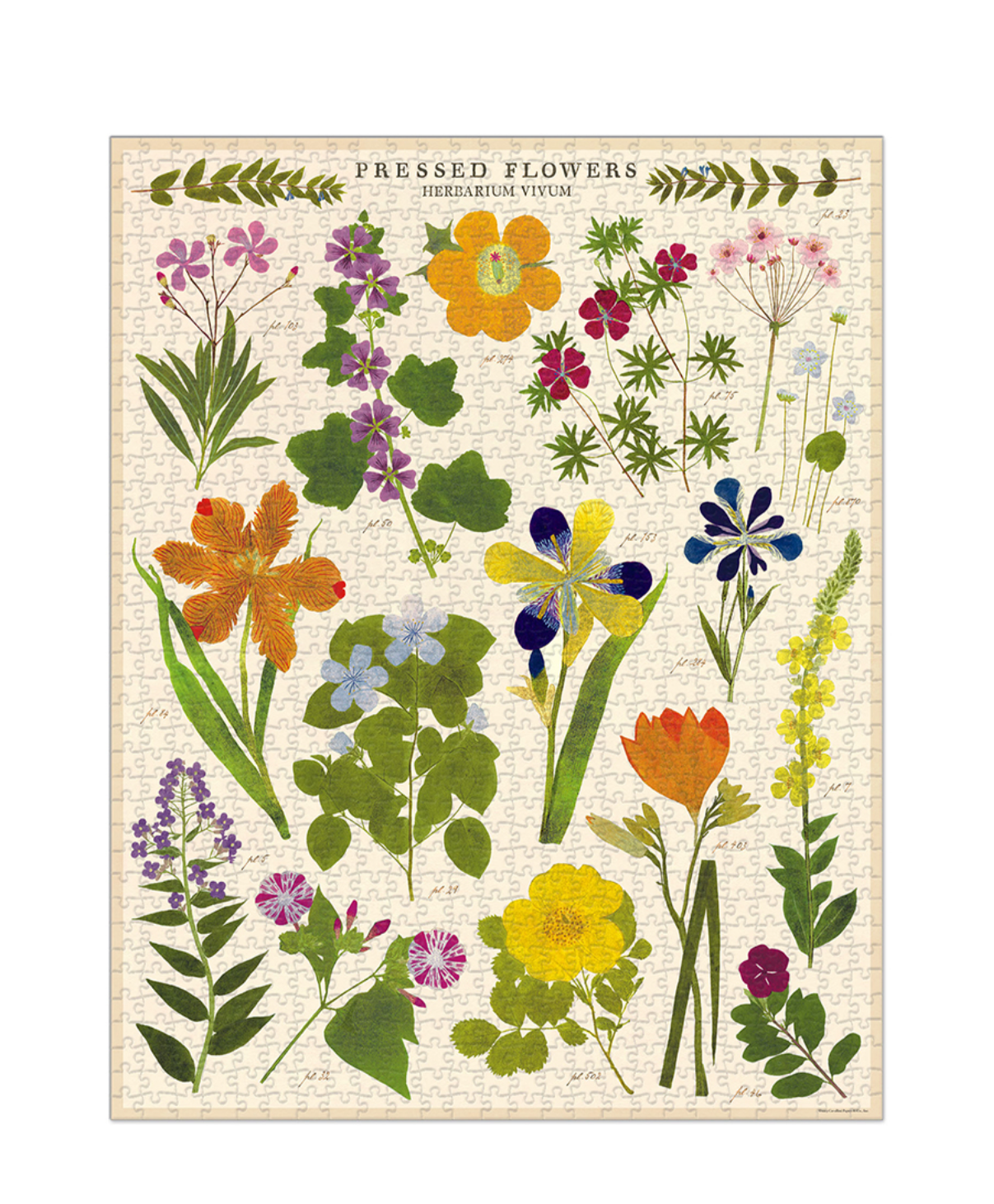 Puzzle - Pressed Flowers