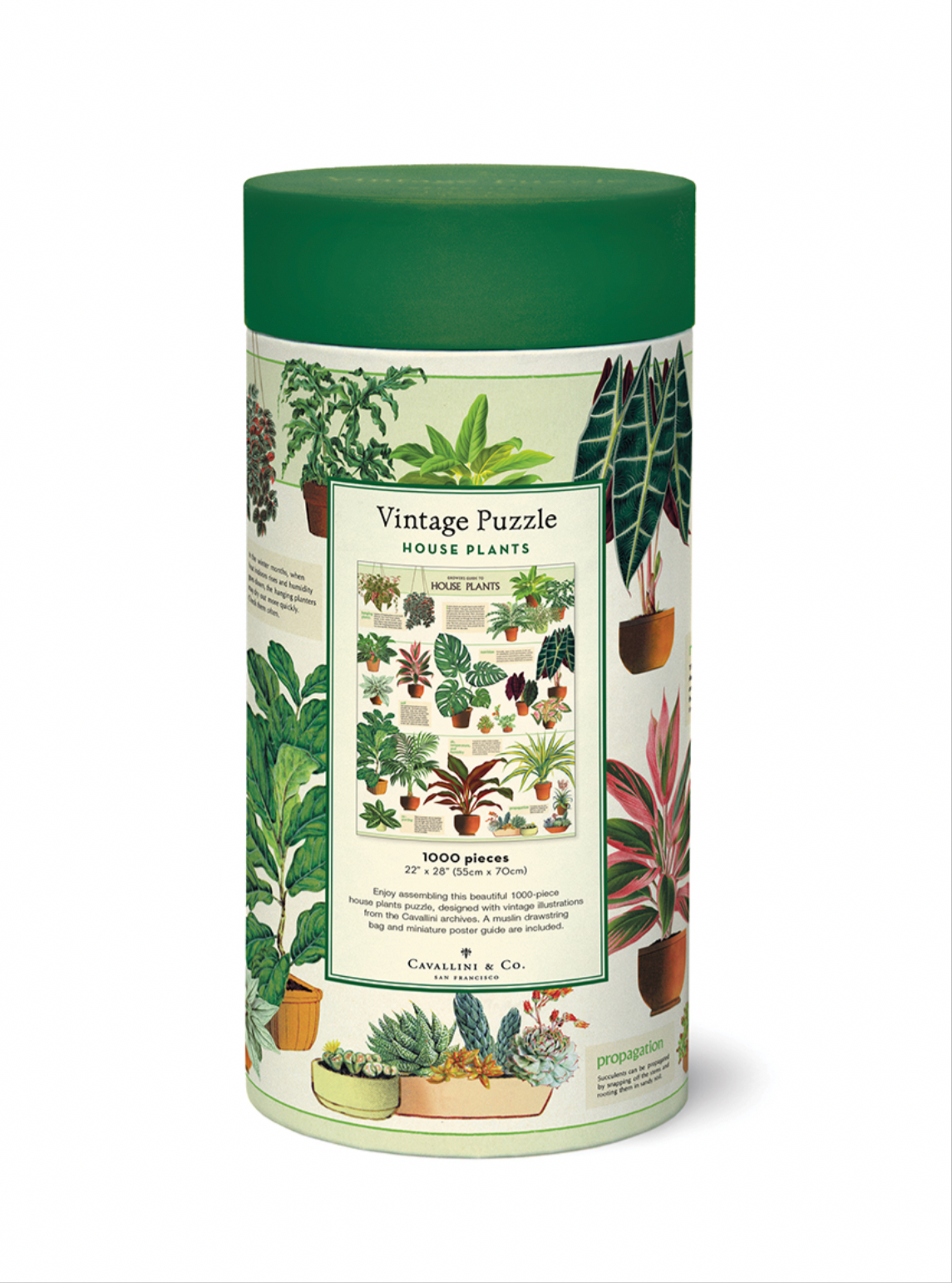 Puzzle - House Plants