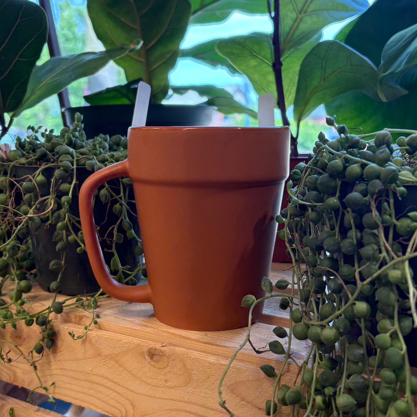 Planter Mug