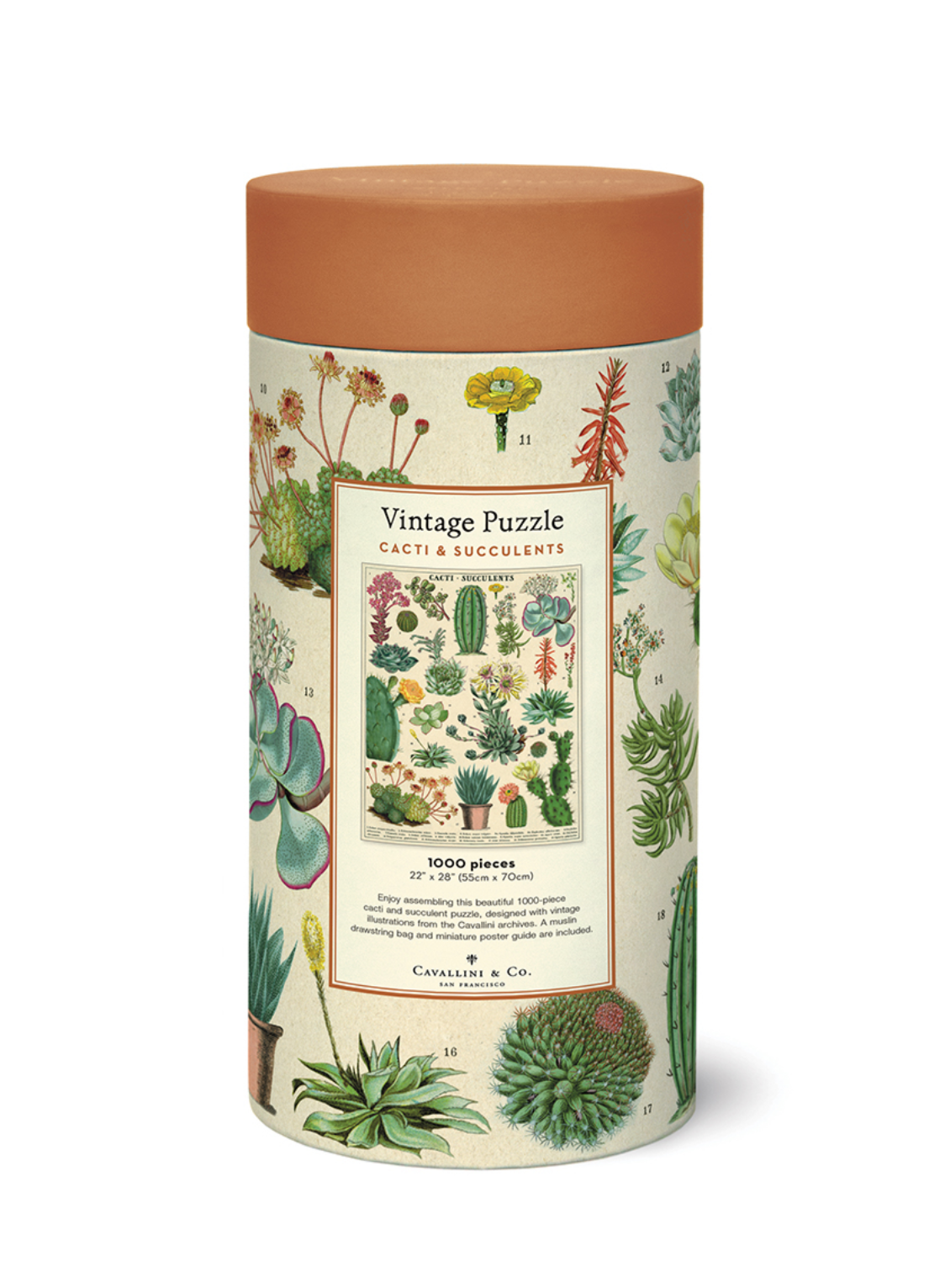 Puzzle - Cacti & Succulents