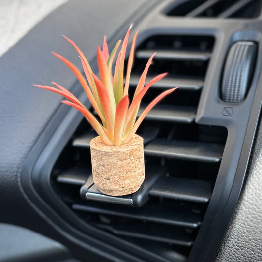 Plant Car Diffuser - Air Plant
