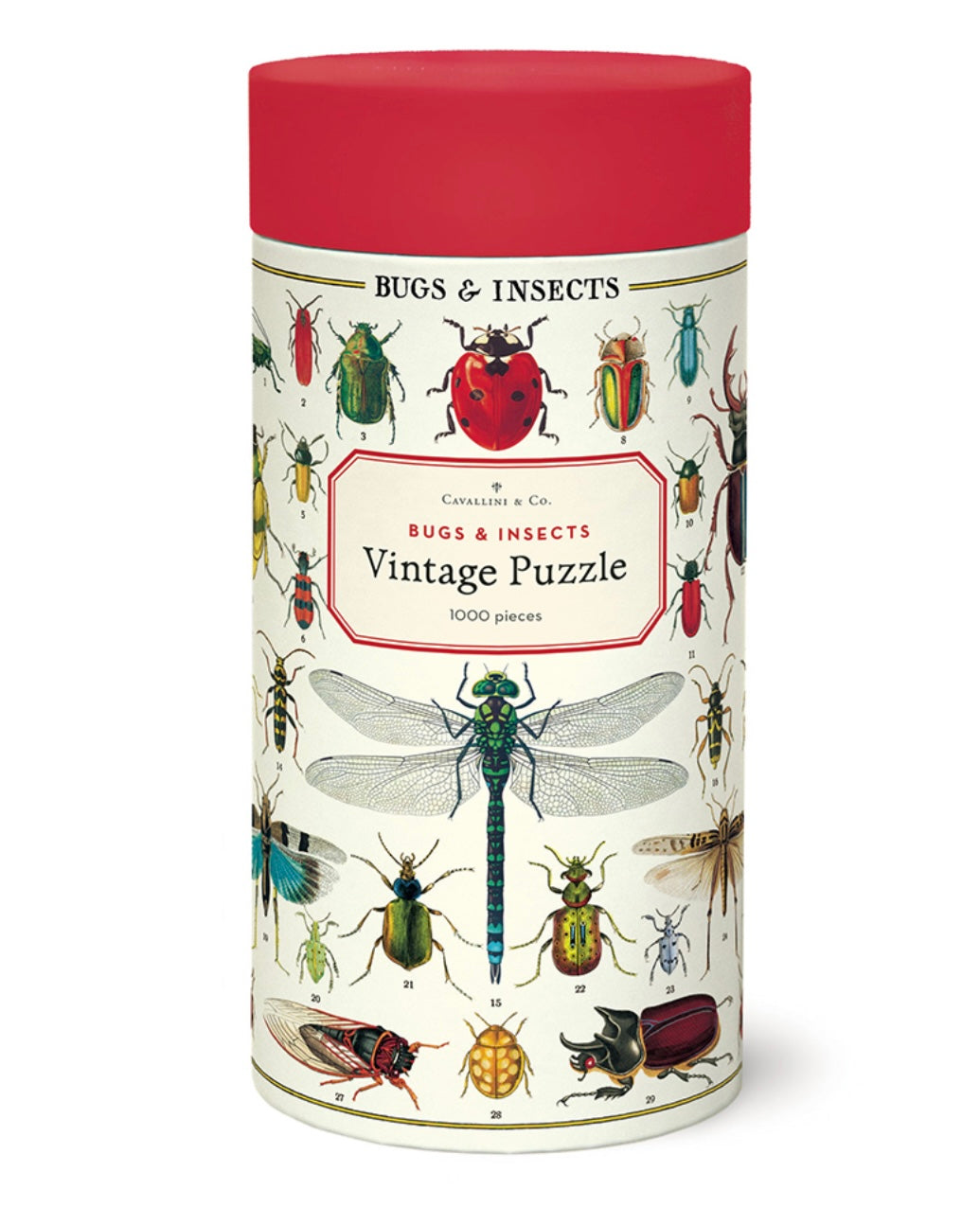 Puzzle - Bugs & Insects