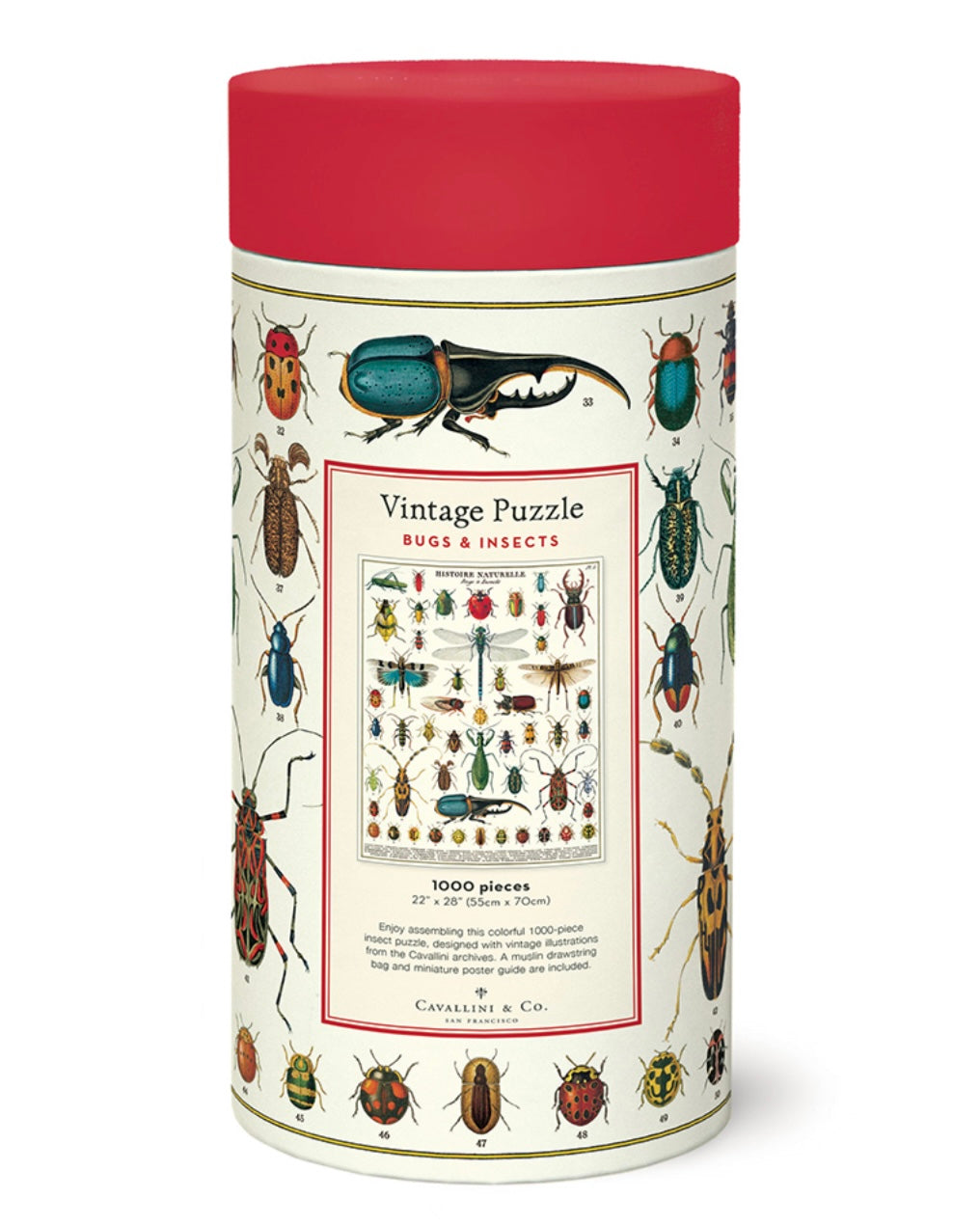 Puzzle - Bugs & Insects