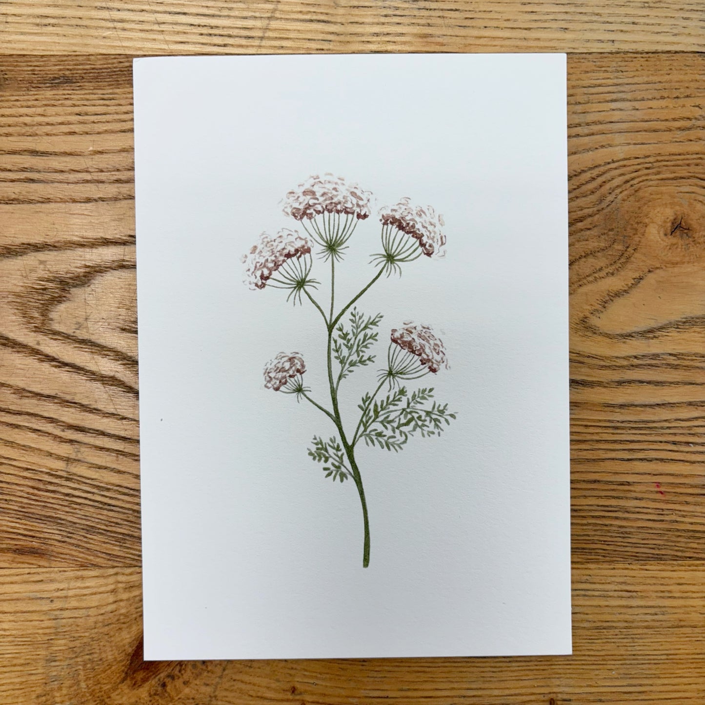 Abbie Marie Studios Art Prints | 5 x 7 inch